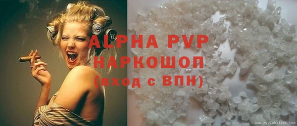 СК Белокуриха