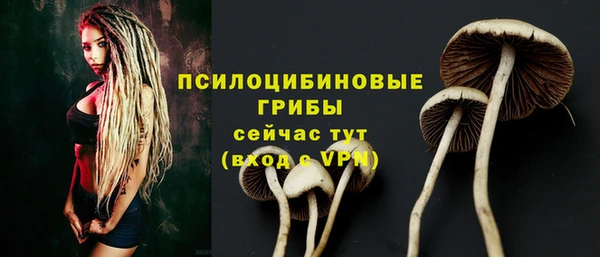 дживик Белоозёрский