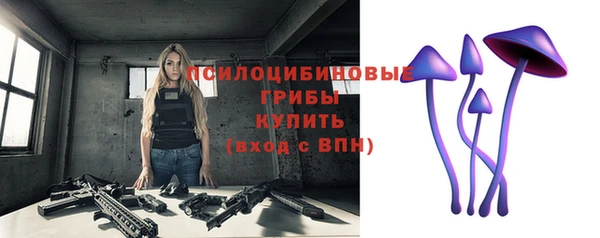гидропоника Богородск