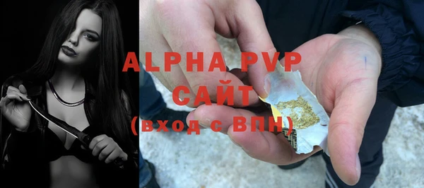 СК Белокуриха