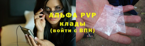 СК Белокуриха