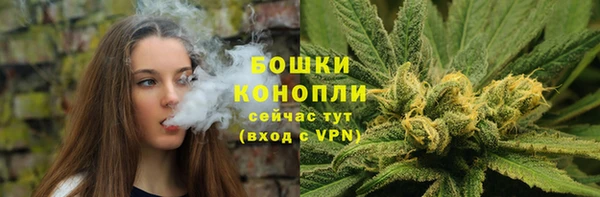 гидропоника Богородск