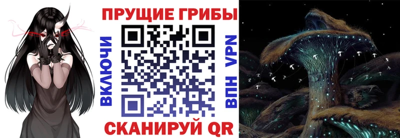 Псилоцибиновые грибы мухоморы  Сковородино 